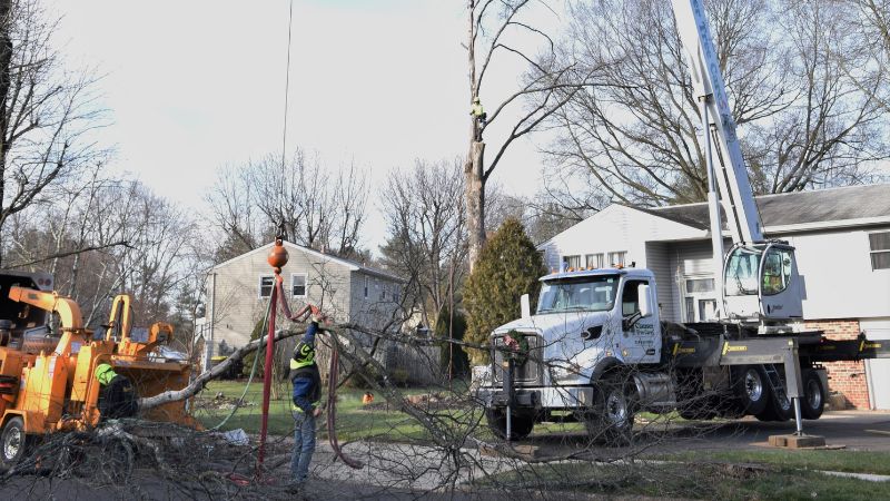 The Clauser Tree Care team including a climber, ground crew, and arborist, work on a dead tree removal on a Pennsylvania residential property.